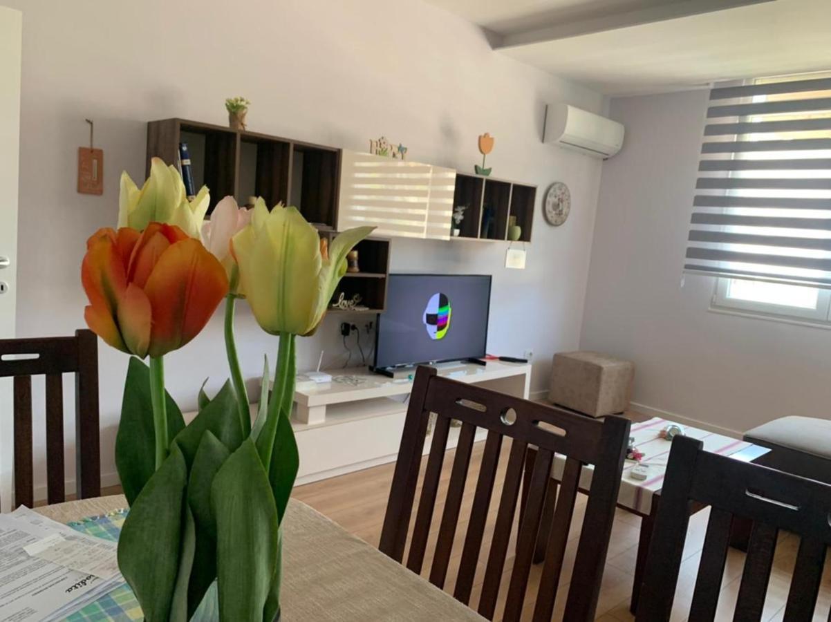 Comfort Apartment In Tirana Near To The Ministry Of Foreign Affairs