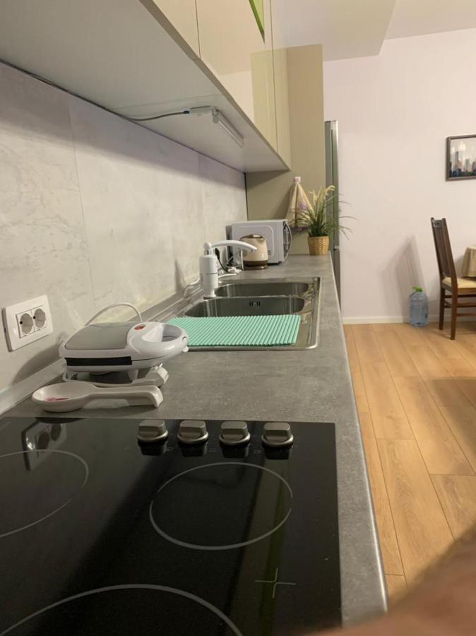 Apartament Comfort Apartment In Tirana Near To The Ministry Of Foreign Affairs Tirana