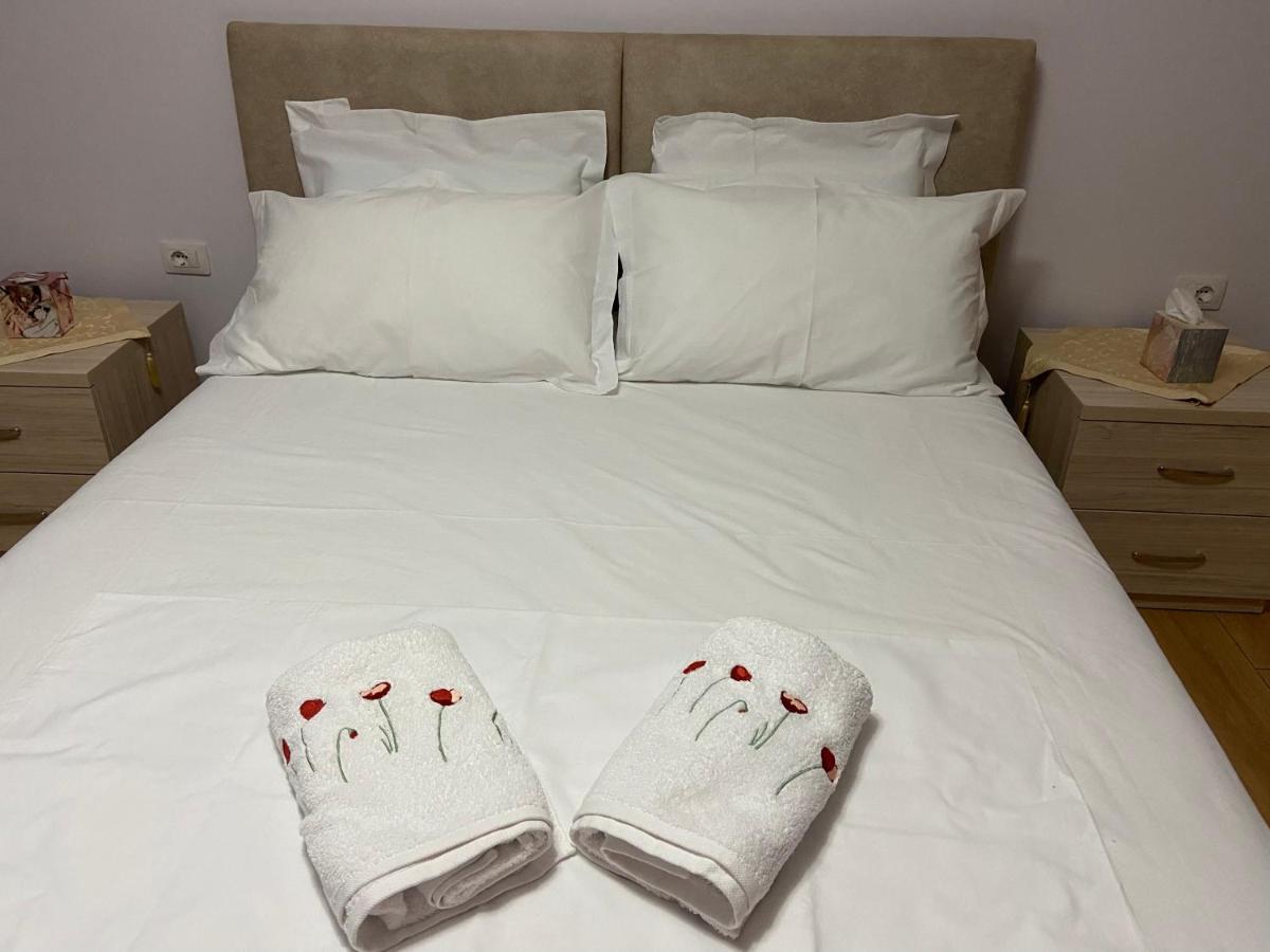 Comfort Apartment In Tirana Near To The Ministry Of Foreign Affairs * Tirana